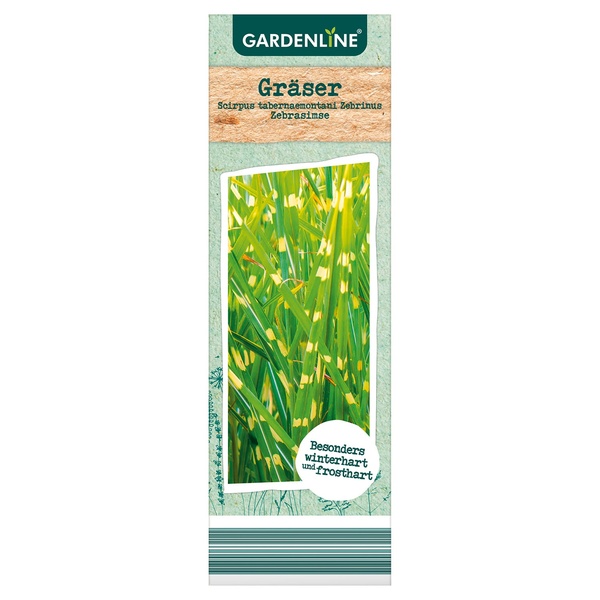 GARDENLINE Teichpflanzen Set oder Gräser von ALDI SÜD ansehen