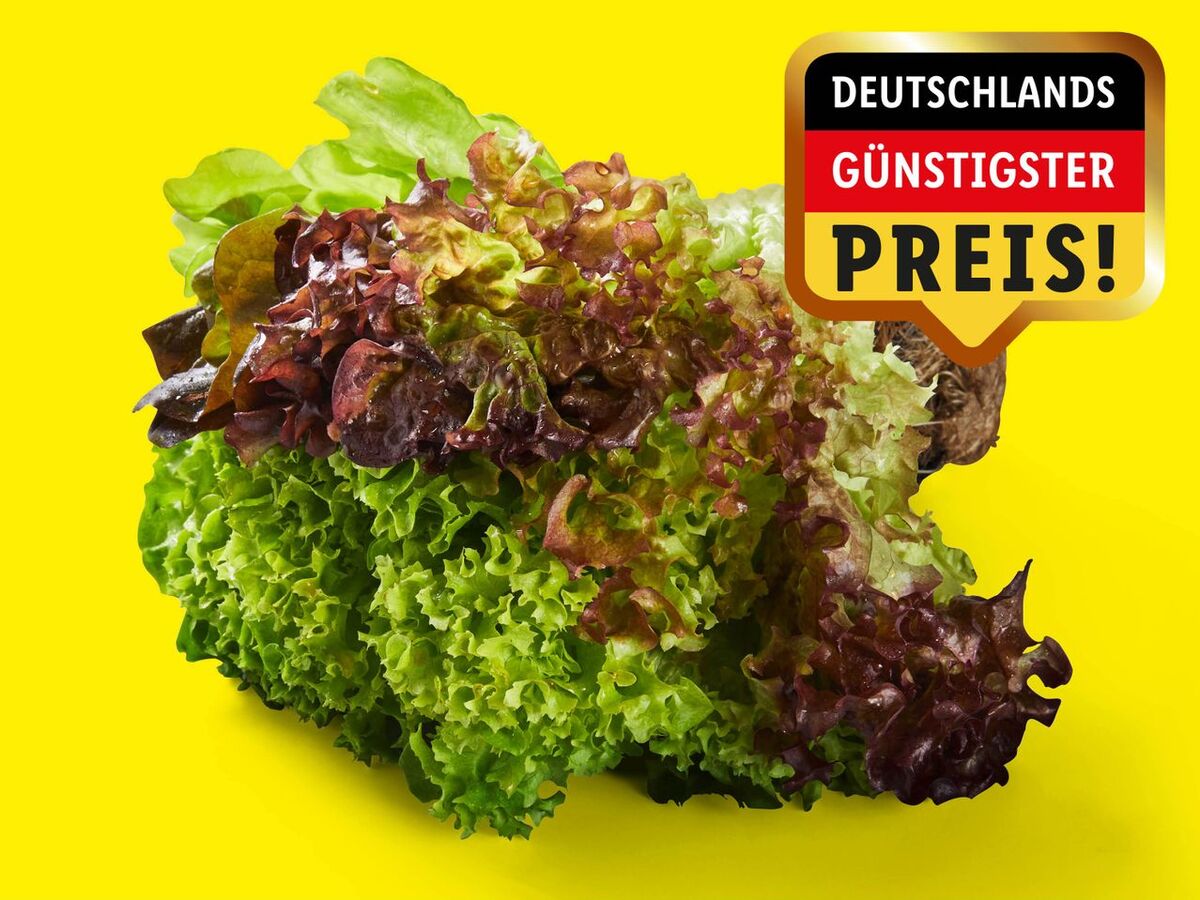 Bild 1 von Multicolor Salat mit Wurzeln, 
         Stück