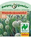 Bild 1 von Winterheckenzwiebel Allium fistulosum 12 cm Topf