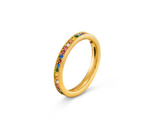 Ring Memory Multicolor