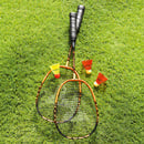 Bild 1 von Talbot Torro Speed-Badminton-Set