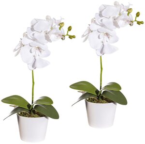 Kunstpflanze Orchidee Phalaenopsis Orchidee, Creativ green, Höhe 40 cm, im Keramiktopf