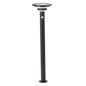 LED-Solar-Wegeleuchte Garvina mit Bewegungsmelder, 85 cm