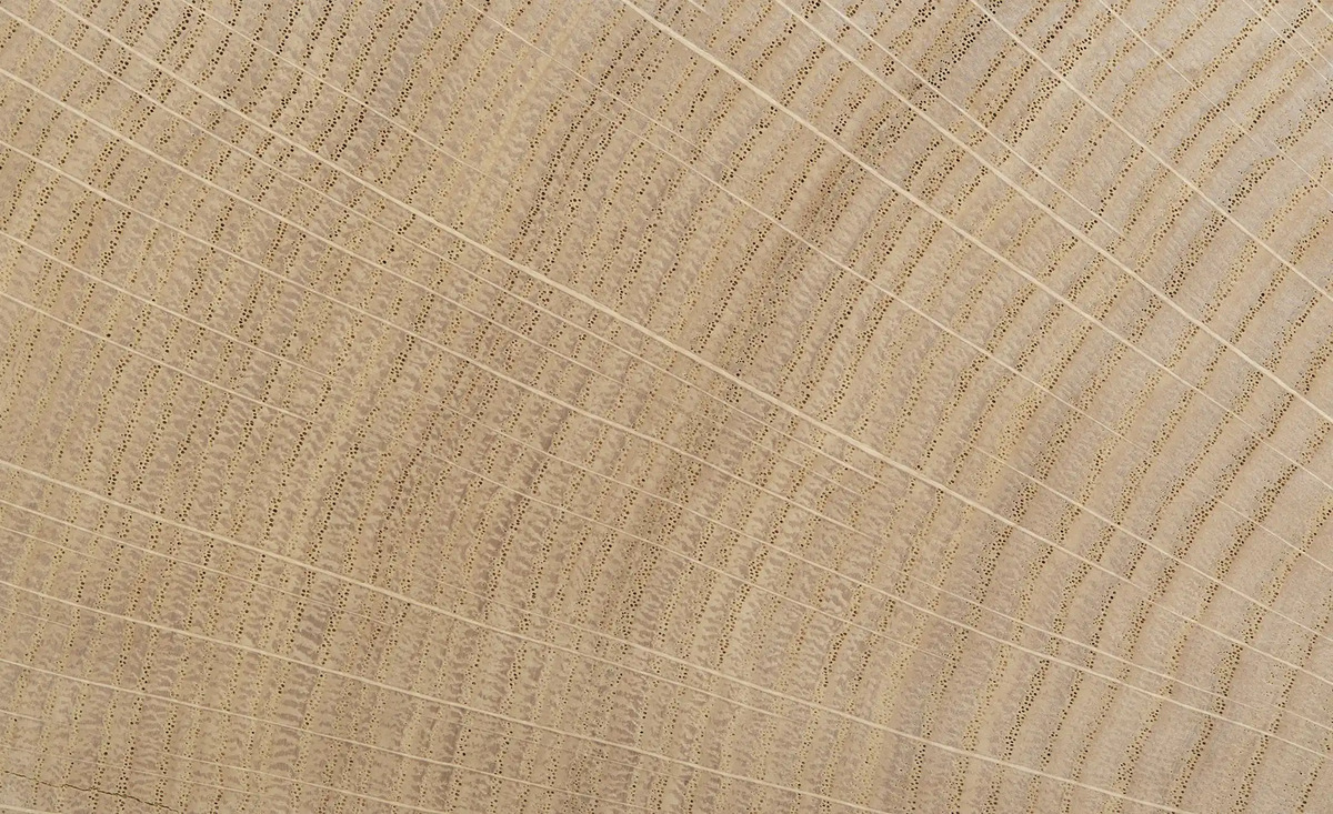 Bild 2 von Jette Home Lowboard Laguna