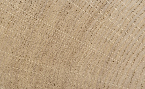 Bild 2 von Jette Home Lowboard Laguna