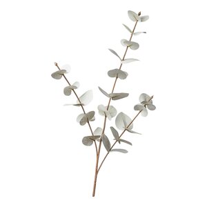 Stielblume EUKALYPTUS ca.68cm, offweiss