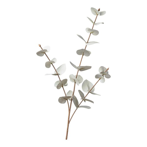 Bild 1 von Stielblume EUKALYPTUS ca.68cm, offweiss