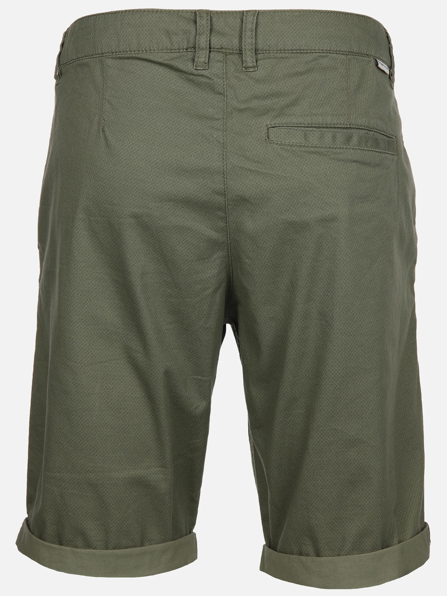 Bild 2 von Herren Chino Shorts Regular
                 
                                                        Grün