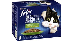 felix Katzennassfutter So gut wie es aussieht in Gelee Gemischte Vielfalt mit Gemüse 12x85g