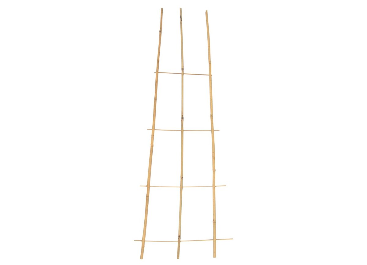 Bild 1 von Bambus-Pflanzspalier H ca. 110 cm