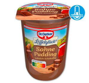 DR. OETKER Grütze oder Sahnepudding*