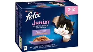 felix Katzennassfutter So gut wie es aussieht in Gelee Junior gemischte Vielfalt 12x85g