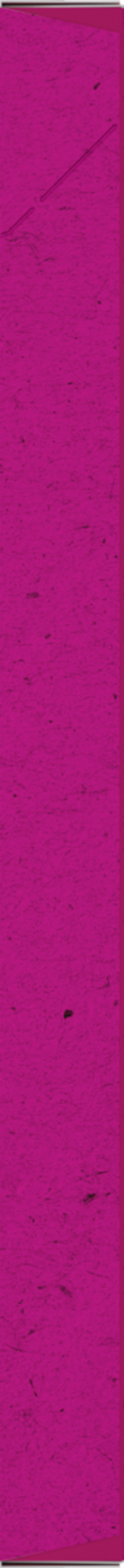 Bild 3 von Vitakraft Vita Veggies Liquid Snack Käse & Tomate, 90 g