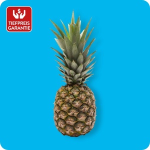 Ananas, Ursprung: Costa Rica / Ecuador