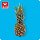 Bild 1 von Ananas, Ursprung: Costa Rica / Ecuador