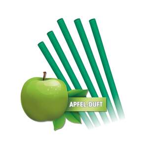 EASYmaxx Abflussreiniger-Stick Apfel 50er-Set grün