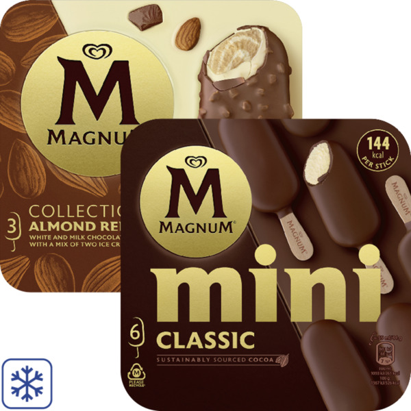 Bild 1 von Magnum Multipack Eis