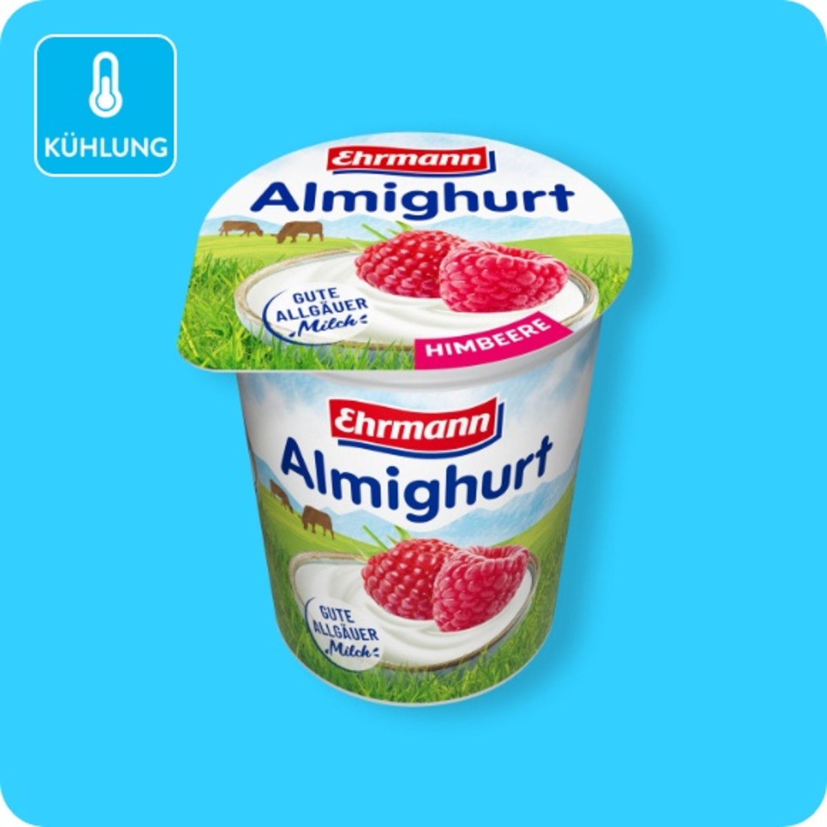 Bild 1 von EHRMANN Almighurt, versch. Sorten