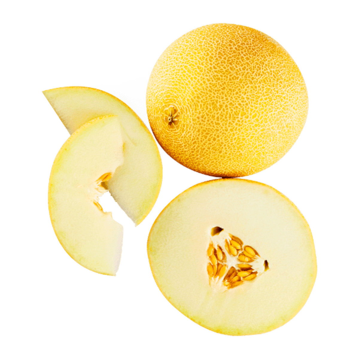 Bild 1 von Galiamelone