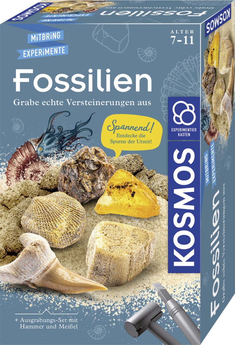 Bild 1 von Kosmos Fossilien Ausgrabungs-Set