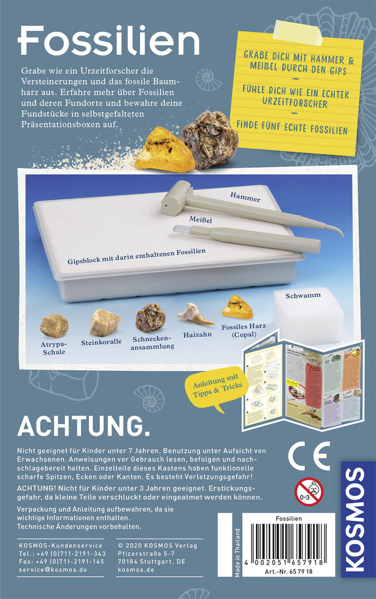 Bild 2 von Kosmos Fossilien Ausgrabungs-Set