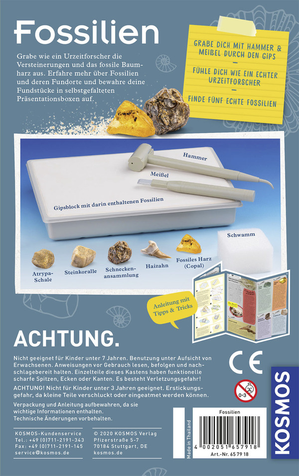 Bild 2 von Kosmos Fossilien Ausgrabungs-Set