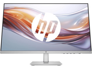 HP 524sh 23,8 Zoll Full-HD Monitor (5 ms Reaktionszeit, 100 Hz), Silber