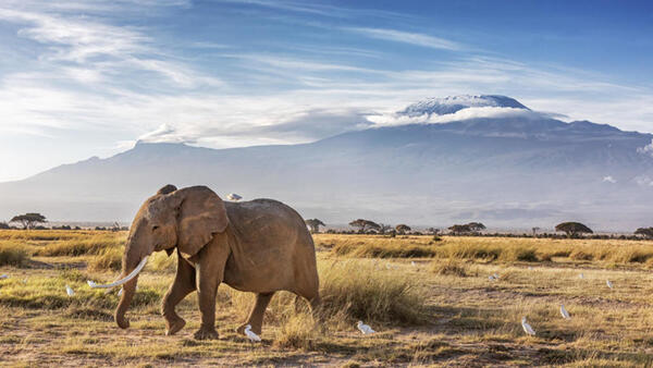 Bild 1 von Rundreisen Kenia: Rundreise ab/an Mombasa in Kleingruppen