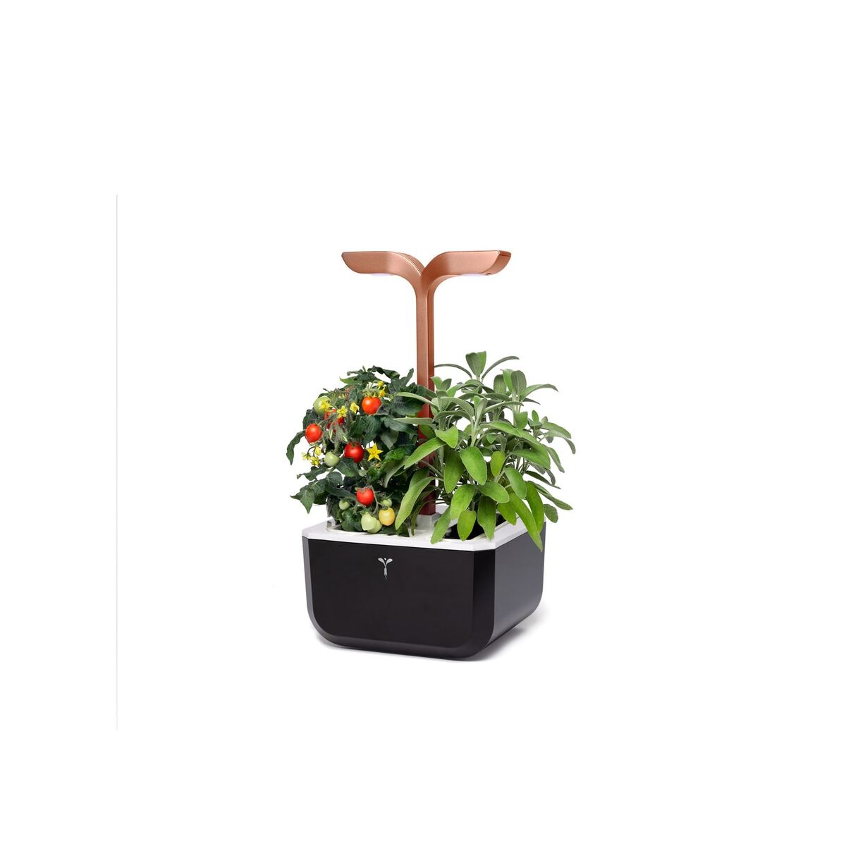 Bild 1 von VERITABLE Exky SMART Indoor Garten kupf. + 2 Packs