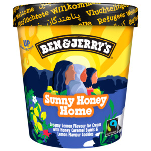 Ben & Jerry's Sunny Honey Home 465ml