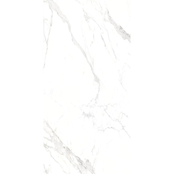 Bild 1 von Home Feinsteinzeug Carrara Weiß 60 cm x 120 cm
