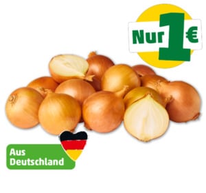 MARKTLIEBE Deutsche Zwiebeln