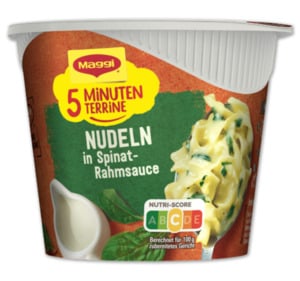 MAGGI 5 Minuten Terrine*