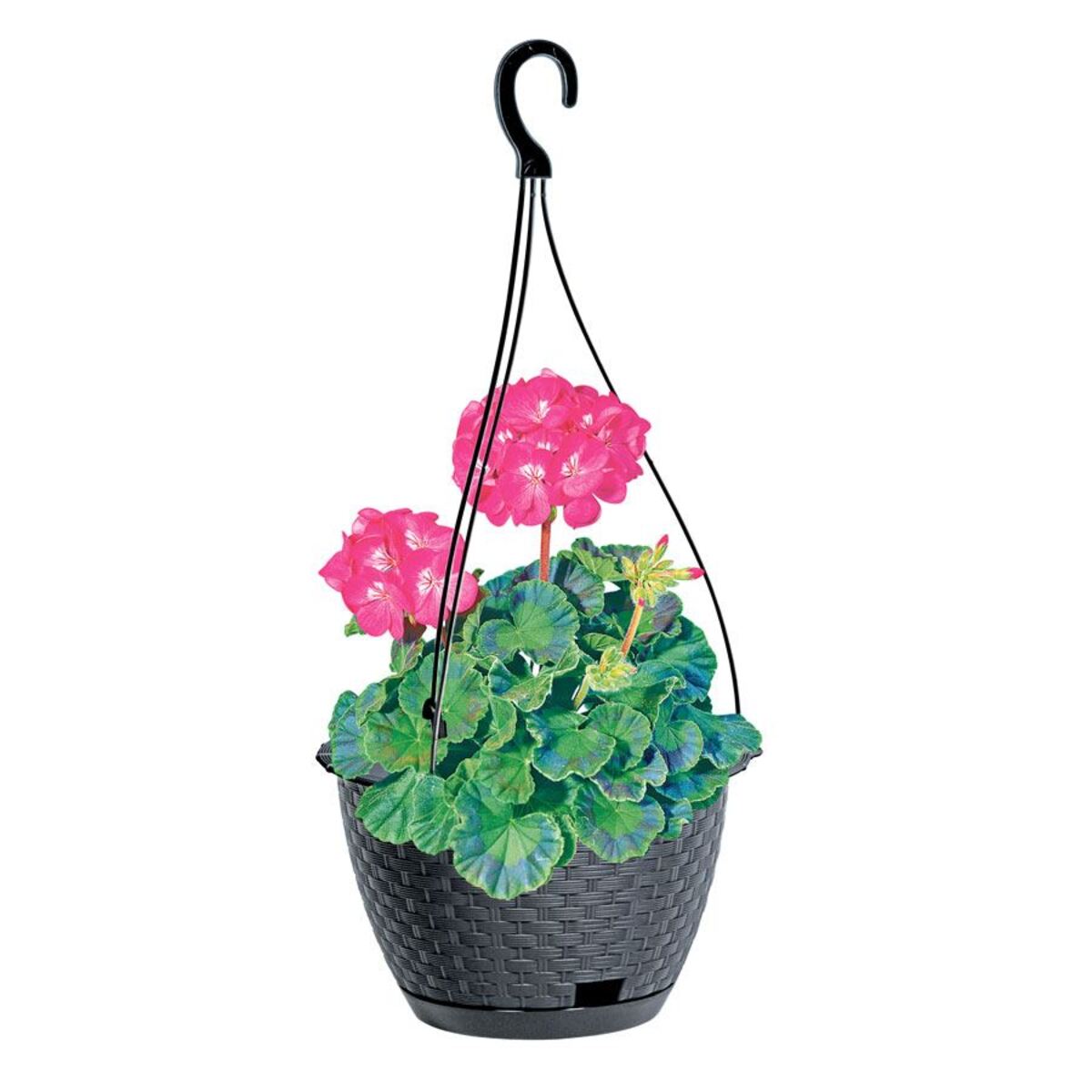 Bild 1 von Hängeampel Ratolla 24cm Anthrazit