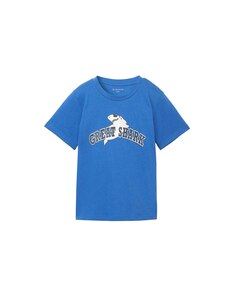 TOM TAILOR - Mini Boys T-Shirt mit Print