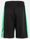 Bild 2 von Jungen Basketball Shorts
                 
                                                        Grün