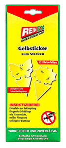 Gelbsticker zum Stecken