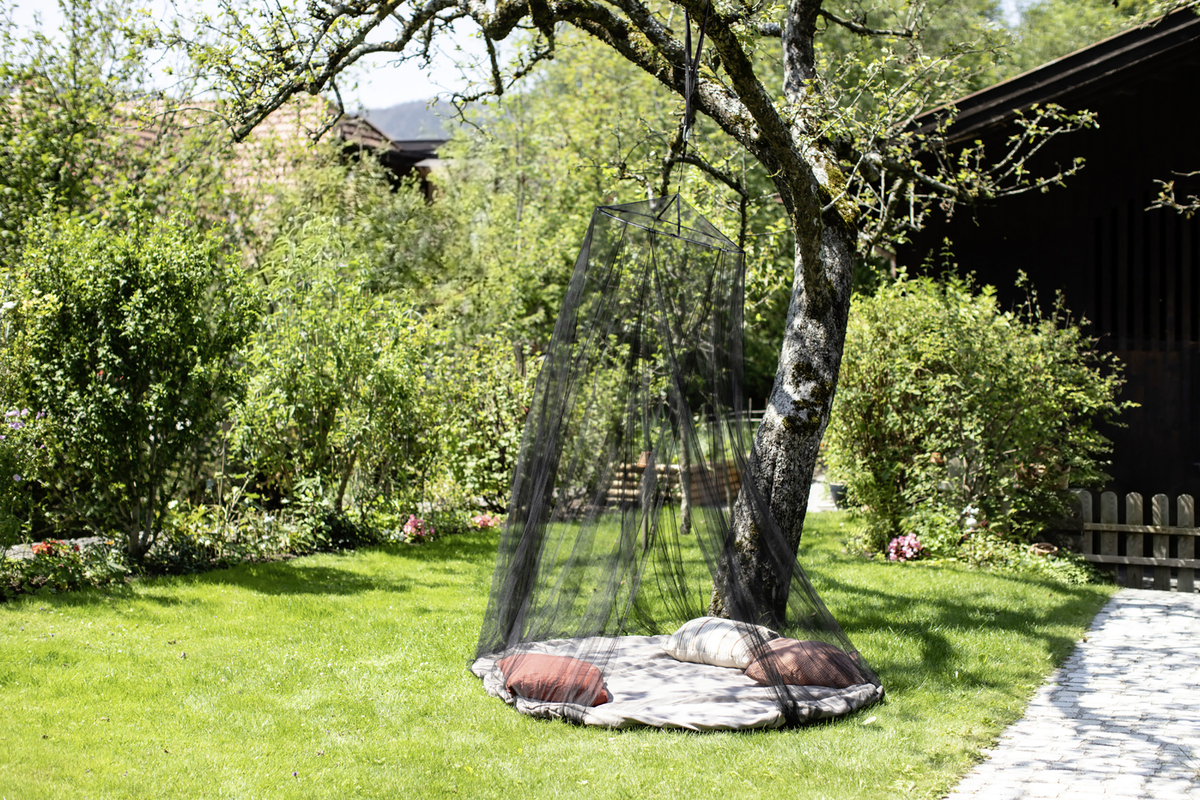 Bild 1 von Primaster Moskitonetz 2,5 x 12 m anthrazit/anthrazit