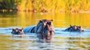 Bild 1 von Rundreisen Namibia, Botswana & Simbabwe: Kleingruppen-Rundreise von Windhoek bis Victoria Falls inkl. Bussafari im Etosha Nationalpark