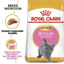 Bild 1 von ROYAL CANIN British Shorthair Kitten 2 kg