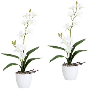 Kunstpflanze Orchidee Dendrobie Orchidee, Creativ green, Höhe 60 cm, im Keramiktopf