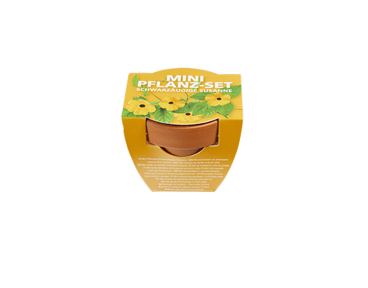 Bild 3 von Anzuchtset