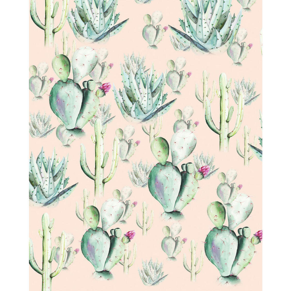 Bild 1 von Komar Vliestapete, Grün, Rosa, Kaktus, 200x250 cm, Tapeten Shop, Vliestapeten
