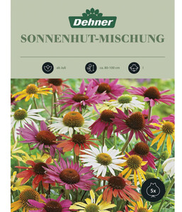 Dehner Blumenzwiebel Sonnenhut-Mischung, 5 Stk.