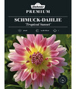 Bild 1 von Dehner Premium Blumenzwiebel Schmuck-Dahlie 'Tropical Sunset', 2 Stk.