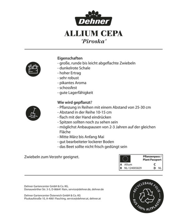 Bild 2 von Dehner Steckzwiebel 'Piroska', 250 g