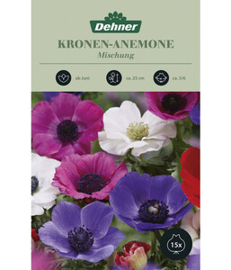 Dehner Blumenzwiebel Kronen-Anemone Mischung, 15 Stk.