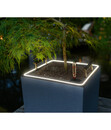 Bild 2 von LECHUZA® Kunststoff-Topf Canto Stone LED inkl. Pflanzeinsatz, rechteckig