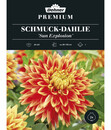 Bild 1 von Dehner Premium Blumenzwiebel Schmuck-Dahlie 'Sun Explosion', 2 Stk.