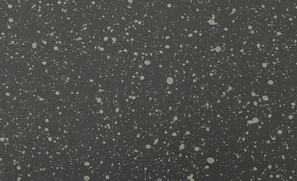 Bild 4 von Dining-Tisch Padua